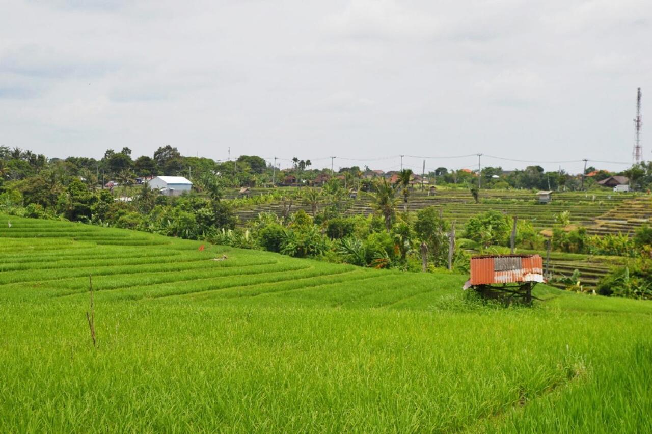 The Bali Dream Villa & Resort Echo Beach Canggu מראה חיצוני תמונה